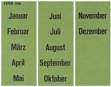 Leitz 1530 Inhaltsschild Monatsnamen, selbstklebend, 120 Stück, grün Inhaltsschilder grün 60 mm
