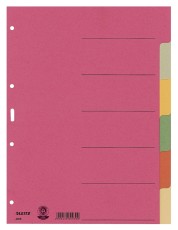 Leitz 4358 Register - Karton, blanko, A4, 6 Blatt, farbig volldeckend Register A4 blanko 6 Blatt