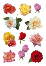 Herma 3308 Sticker DECOR Rosenblüten Deko-Etiketten Rosen mehrfarbig Papier permanent haftend 3