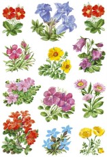 Herma 3582 Sticker DECOR Gebirgsblumen Deko-Etiketten Blumen mehrfarbig Papier permanent haftend 3