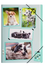 Pagna® Gummizugmappe xoxo Dogs - A4, 3 Einschlagklappen, PP Sammelmappe Dogs A4 245 mm 320 mm