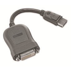 Lenovo DVI-Kabel auf DP 20 cm Netzadapter