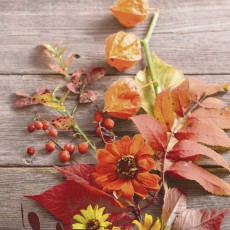 Paper+Design Herbst Lunchservietten - 33 x 33 cm, 20 Stück Servietten Herbst 33 x 33 cm 3-lagig