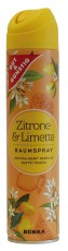 GUT & GÜNSTIG Duftspray Zitrone&Limette - 300 ml Duftspray Zitrone & Limette 300 ml