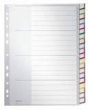 Leitz 1278 Register - PP, blanko, A4, 20 Blatt, grau volldeckend Register A4 blanko Universallochung