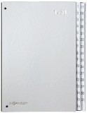 Pagna® Pultordner Color-Einband - Tabe 1 - 31, 32 Fächer, silber Pultordner 32 1 - 31 silber