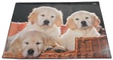 Läufer Schreibunterlage Motiv Hunde Schreibunterlage Hunde 53 x 40 cm Kunststoff