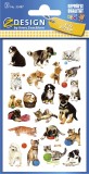 Avery Zweckform® Z-Design 53487, Kinder Sticker, Katzen, Hunde, 3 Bogen/63 Sticker Deko-Etiketten 3