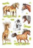Herma 3307 Sticker DECOR Gezeichnete Pferde Deko-Etiketten Pferde mehrfarbig Papier 3
