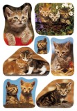 Herma 3527 Sticker DECOR Katzenfotos Deko-Etiketten Katzen mehrfarbig Papier permanent haftend 3