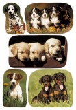 Herma 3528 Sticker DECOR Hundewelpenfotos Deko-Etiketten Hunde mehrfarbig Papier permanent haftend 3