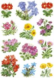 Herma 3582 Sticker DECOR Gebirgsblumen Deko-Etiketten Blumen mehrfarbig Papier permanent haftend 3