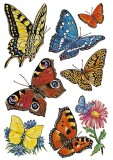 Herma 3801 Sticker DECOR Schmetterlinge Deko-Etiketten Schmetterlinge mehrfarbig Papier 3
