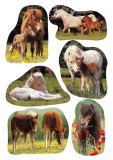 Herma 5443 Sticker DECOR Pferdefotos Deko-Etiketten Pferde mehrfarbig Papier permanent haftend 3