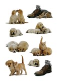 Herma 5606 Sticker DECOR Hundewelpen Deko-Etiketten Hunde mehrfarbig Papier permanent haftend 3