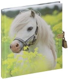 Pagna® Tagebuch Kleines Pony - 128 Seiten mit Schloss Tagebuch Kleines Pony 128 Seiten 80 g/qm