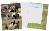 VENCEREMOS Sammelmappe Pferde - A4 Sammelmappe Pferde Collage A4 Gummizug Karton kaschiert