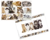 Herma Schreibunterlage Katzen - 55 x 35 cm beidseitig verwendbar Schreibunterlage Katzen 550 mm