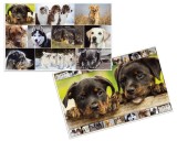 Herma Schreibunterlage Hunde - 55 x 35 cm beidseitig verwendbar Schreibunterlage Hunde 550 mm 350 mm