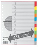 Pagna® Register 12 teilig 6 farbig überbreit Register A4 Überbreite blanko 12 Blatt + Deckblatt