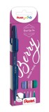 Pentel® Kalligrafiestift Sign Pen Brush - Pinselspitze, 4er Berry-Set sortiert Kalligrafiestift