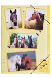 Pagna® Gummizugmappe xoxo Horse - A4, 3 Einschlagklappen, PP Sammelmappe Horse A4 245 mm 320 mm