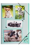 Pagna® Gummizugmappe xoxo Dogs - A4, 3 Einschlagklappen, PP Sammelmappe Dogs A4 245 mm 320 mm