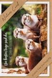 bsb Allgemeine Glückwunschkarte - Natur Card, inkl. Umschlag Mindestabnahmemenge - 3 Stück.