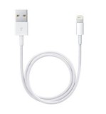 Apple Lightning auf USB Kabel 0,5m (retail) Ladekabel Lightning /USB 0,5m weiß
