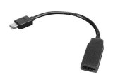 Lenovo Mini-DisplayPort zu HDMI Adapter 20 cm DisplayPort 20 cm schwarz
