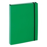 Pagna® Sammelbox Basic - A4, Gummizug, Karton, grün Dokumentenbox Basic grün A4 max 50 Blatt