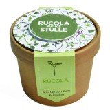 Aussaat-Pott Microgreens Rucola Inhalt kann variieren. Saatgut Rucola 7 x 9,8 cm