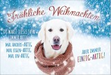 Weihnachtskarte - inkl. Umschlag Mindestabnahmemenge - 5 Stück. Grußkarten Weihnachten 1 Stück