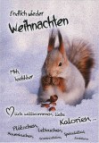 Weihnachtskarte - inkl. Umschlag Mindestabnahmemenge - 5 Stück. Grußkarten Weihnachten 1 Stück