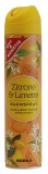 GUT & GÜNSTIG Duftspray Zitrone&Limette - 300 ml Duftspray Zitrone & Limette 300 ml